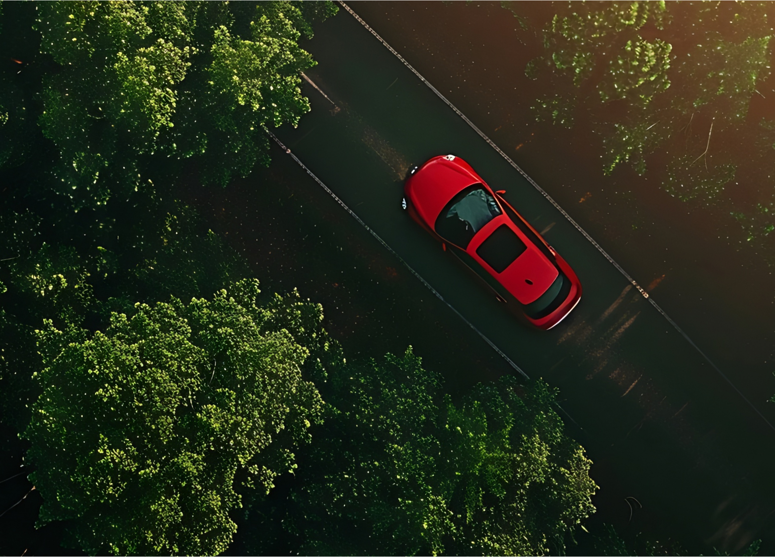 banner image